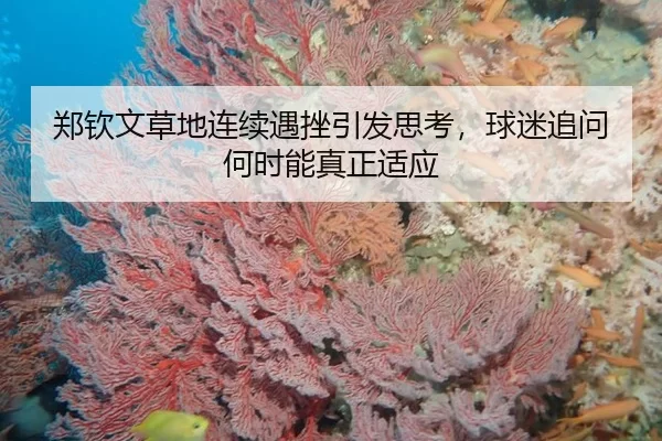 zheng-qin-wen-cao-di-lian-xu-yu-cuo-yin-fa-si-kao-qiu-mi-zhui-wen-he-shi-neng-zhen-zheng-shi-ying-2-602.jpg