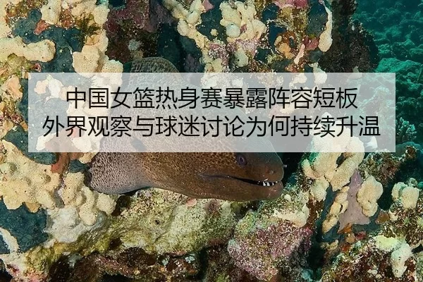 中国女篮热身赛暴露阵容短板 外界观察与球迷讨论为何持续升温